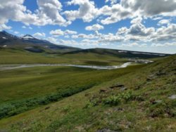 Image of research project in Arctic Tundra