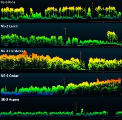 Routescene LiDAR foresty Northern Wisconsin